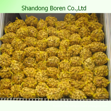 Verkauf Shandong New Fresh Ingwer